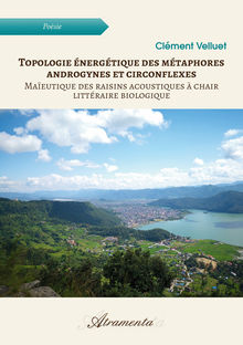 Couverture "Topologie énergétique des métaphores androgynes et circonflexes"