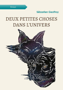 Couverture "Deux petites choses dans l’univers"