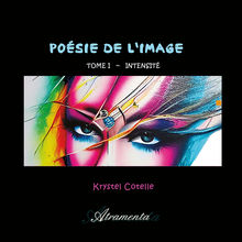 Couverture "Poésie de l'Image, Tome I"