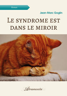 Couverture "Le syndrome est dans le miroir"