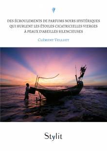 Couverture "Des écroulements de parfums noirs hystériques qui hurlent les étoiles cicatricielles vierges à peaux d’abeilles silencieuses"