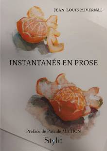 Couverture "Instantanés en prose"