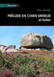 Couverture "Prélude en chien mineur et Suites"