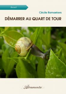 Couverture "Démarrer au quart de tour"