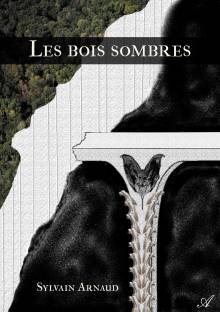 Couverture "Les bois sombres"