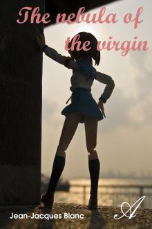 Couverture "The nebula of the virgin"