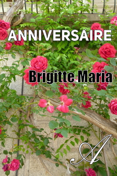 Anniversaire Brigitte Maria Texte Integral Poesie Atramenta